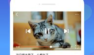 内涵短视频,捕捉生活点滴的智慧火花