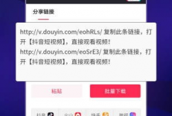 短视频打包下载,轻松收藏精彩瞬间