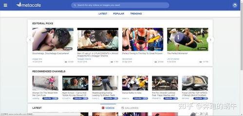 外国短视频网站,揭秘热门趋势与用户喜好